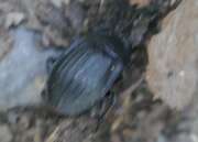 Thumbnail 362482 B