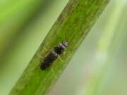 Thumbnail 363058 B