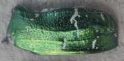 Thumbnail 364703 A