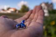 Thumbnail 365995 B