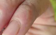 Thumbnail 366612 B