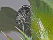 Thumbnail 367055 B