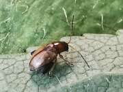 Thumbnail 367069 B