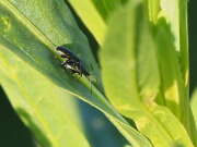 Thumbnail 367540 B