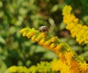 Thumbnail 367851 B