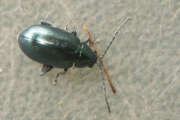 Thumbnail 367864 B