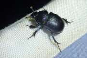 Thumbnail 369025 B