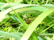 Thumbnail 369343 B