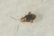 Thumbnail 369406 B