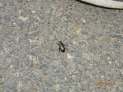 Thumbnail 369510 B