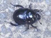 Thumbnail 370058 B