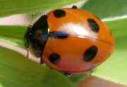 Thumbnail 370298 B