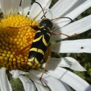 Thumbnail 370306 B