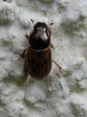 Thumbnail 370421 B