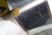 Thumbnail 370603 B
