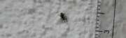 Thumbnail 370728 C
