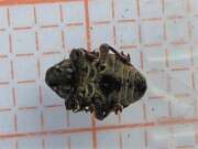 Thumbnail 370759 B
