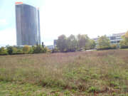 Thumbnail 370954 C