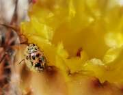 Thumbnail 371048 B