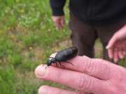 Thumbnail 371049 B