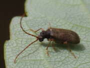 Thumbnail 371147 B