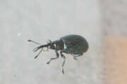 Thumbnail 371178 B