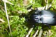 Thumbnail 371318 B