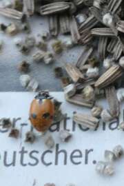 Thumbnail 371437 B