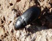 Thumbnail 371566 B