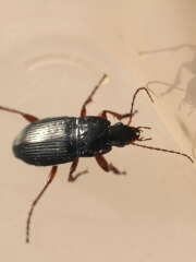 Thumbnail 371609 B