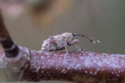 Thumbnail 371645 B