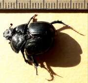 Thumbnail 371672 B