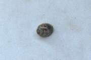 Thumbnail 371954 B