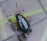 Thumbnail 371955 B