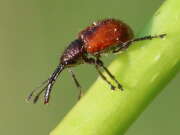 Thumbnail 372095 B