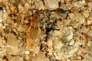 Thumbnail 372230 A