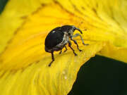 Thumbnail 372359 B