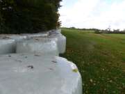 Thumbnail 372375 C