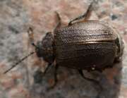 Thumbnail 374004 B