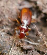 Thumbnail 374037 B