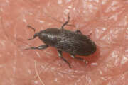 Thumbnail 374049 B