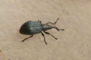 Thumbnail 374596 B