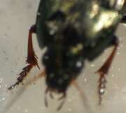 Thumbnail 377656 B