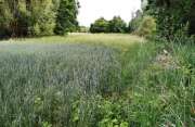 Thumbnail 377912 B