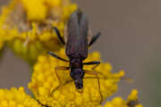 Thumbnail 378175 B