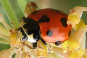 Thumbnail 378323 B