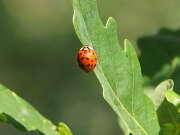 Thumbnail 378364 B