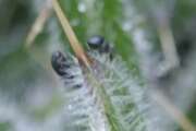 Thumbnail 378397 B