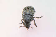 Thumbnail 378401 B