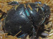 Thumbnail 378406 B